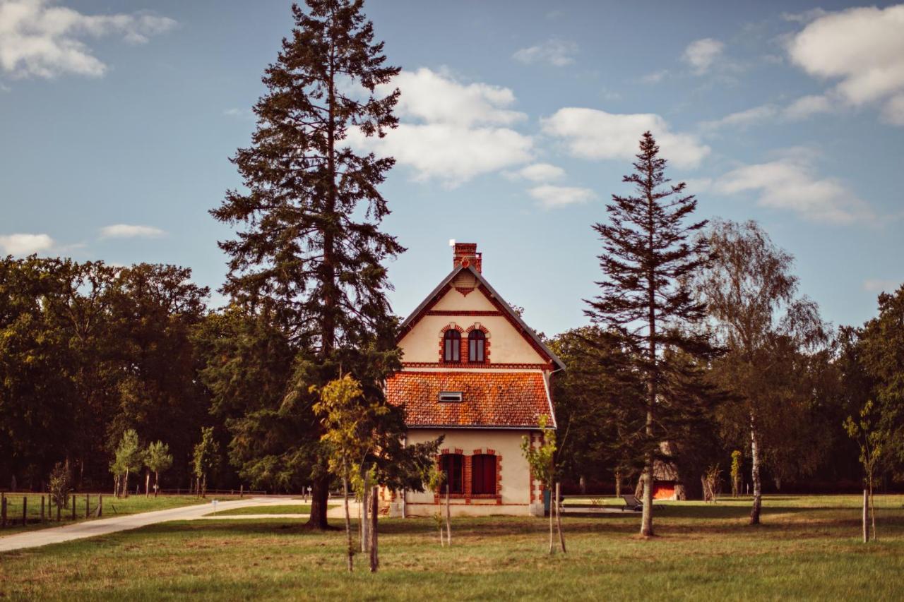 Domaine De La Trigaliere Βίλα Ambillou Εξωτερικό φωτογραφία